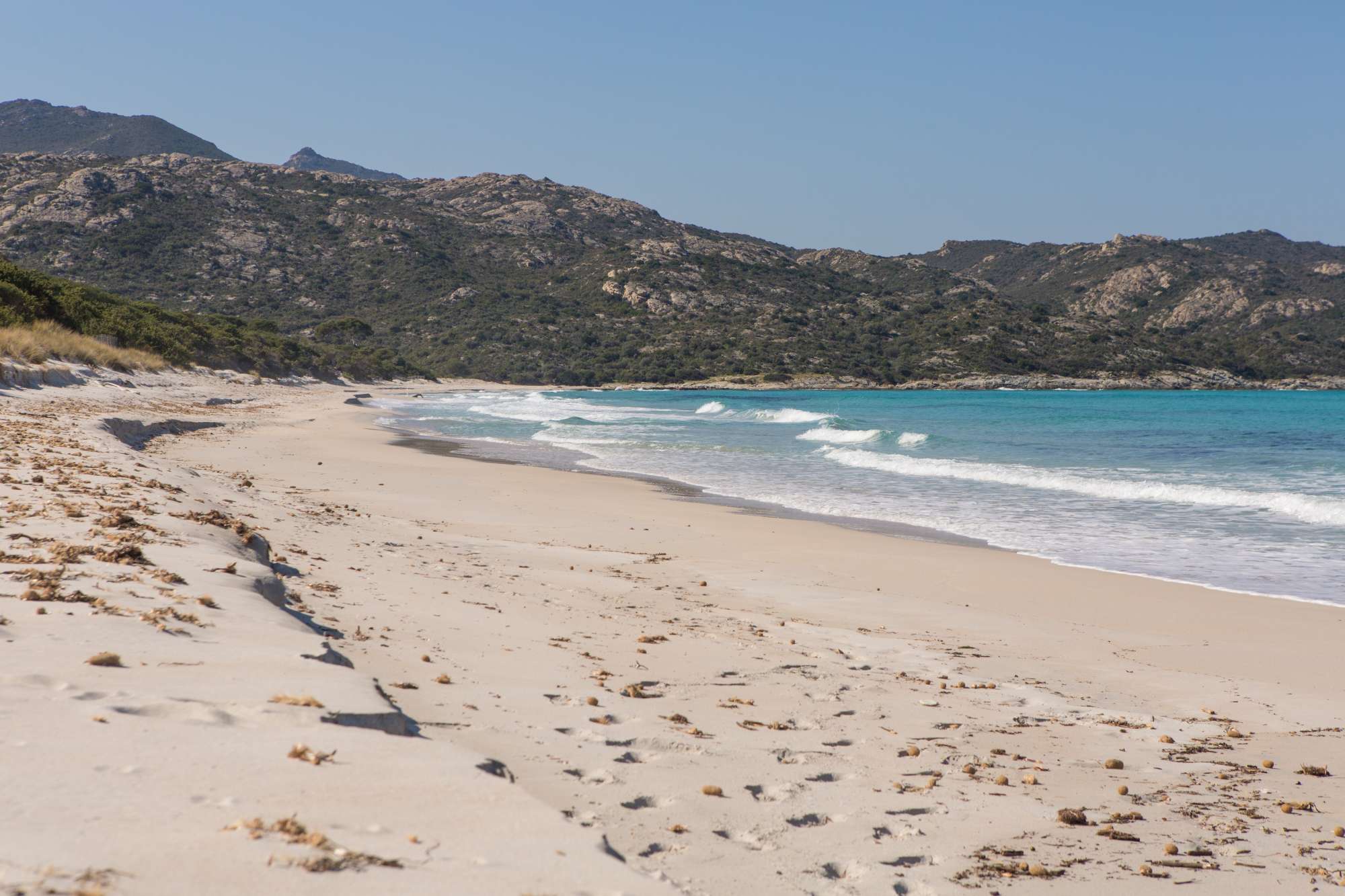 Saleccia e dintorni